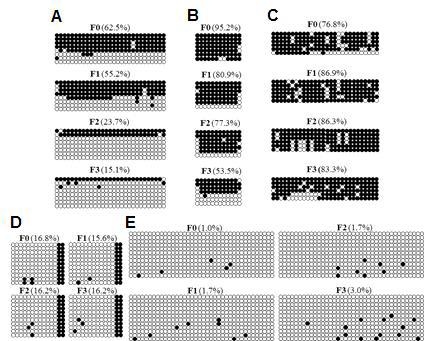 Bisulfite Sequencing Analysis of H19 and Igf2 at Each Generation Produced by Serial SCNT