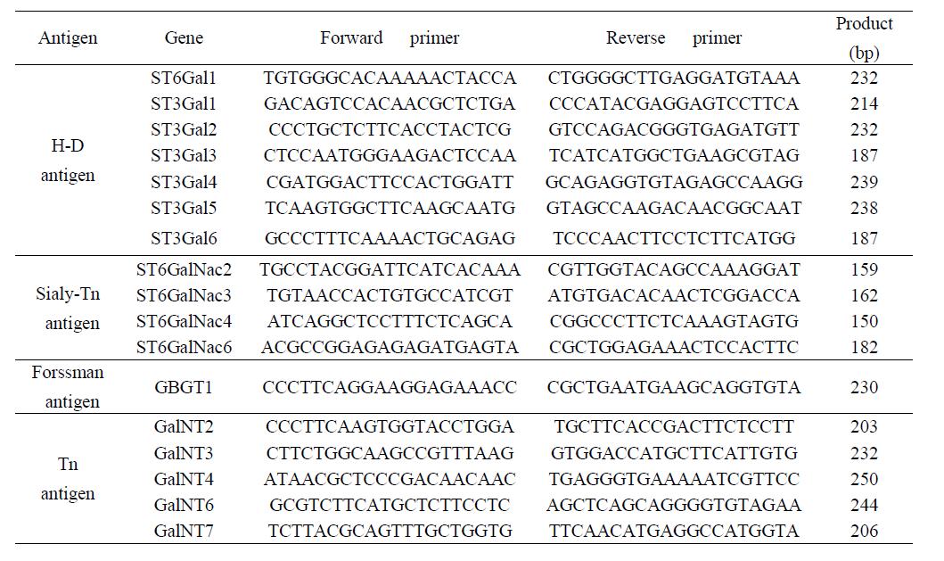 Sialyltransferase 관련 유전자의 발현 분석에 이용한 Primers