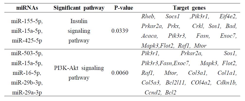 miRNA 타깃유전자의 KEGG Pathway 분석
