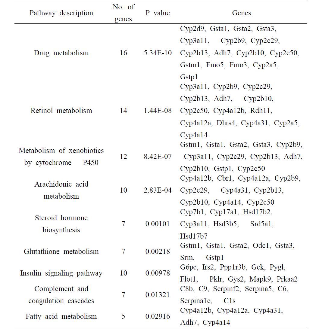 CMAH K.O 마우스유래 Up 또는Down-regulation된유전자들의이용한KEGG Pathway 분석