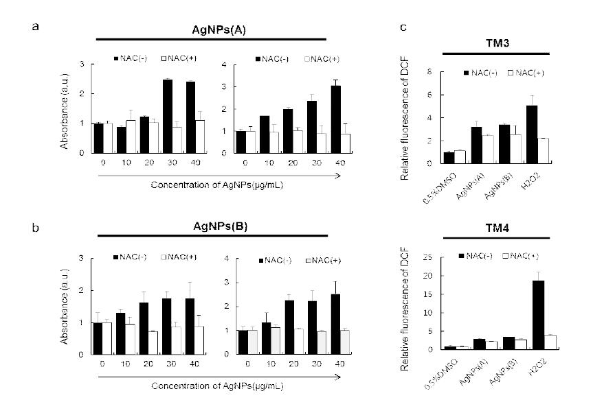 Effect of AgNPs on LDH Activity and ROS Generation in TM3 and TM4 Cells