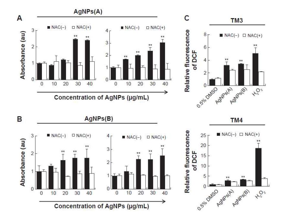 Effect of AgNPs on LDH Activity and ROS Generation in TM3 and TM4 Cells
