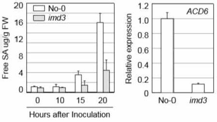 병원성 병원균 P. syringae 감염에 대한 immunedefective3 돌연변이 식물의 살리실산-의존적 방어반응의 감소현상