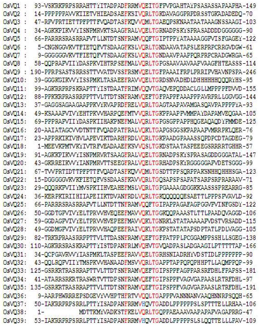 OsVQ유전자의 VQ motif domain의 아미노산서열 alignment