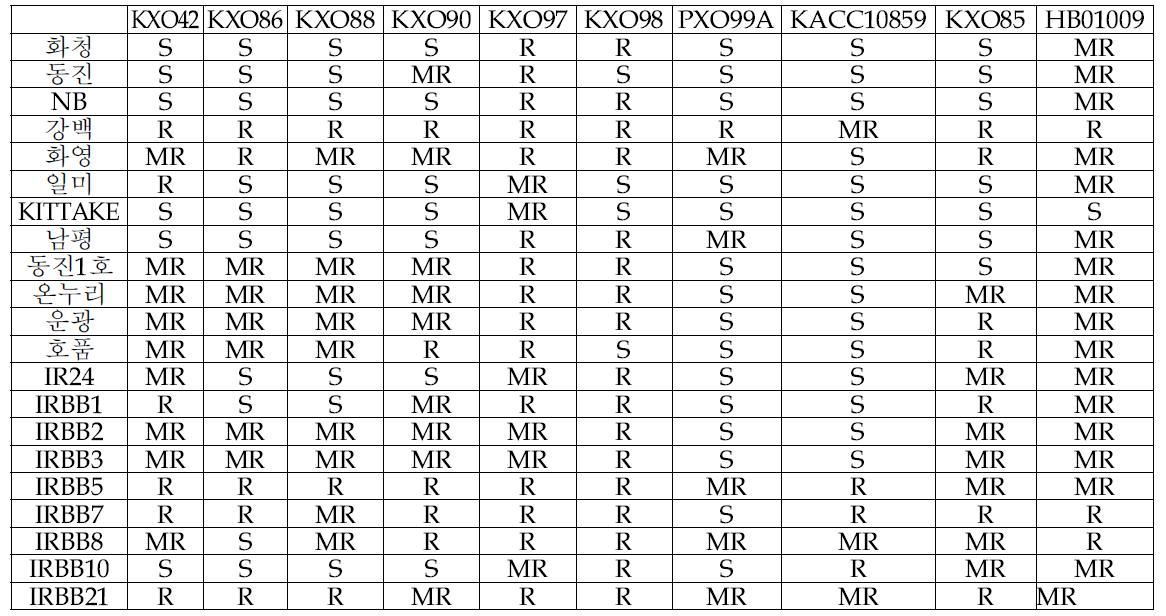 벼 품종과 Xoo균주와의 관계조사 (2011 GMO포장)