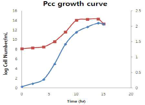 배지에서 Pcc의 growth curve
