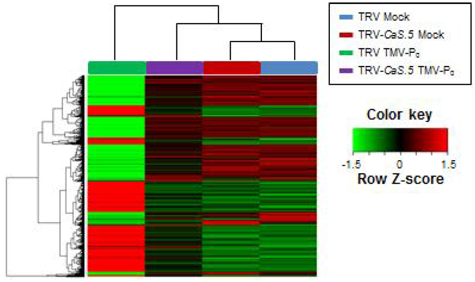 CaLecRK-S.5 발현 억제에 따른 TMV-P 매개 병저항성 관련 유전자들의 발현 변화.