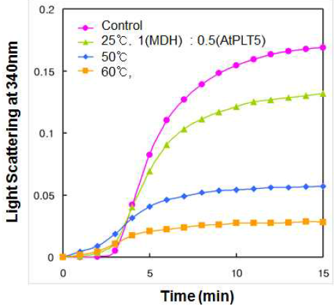 AtPLT6 단백질의 온도에 따른 샤페론 활성변화.