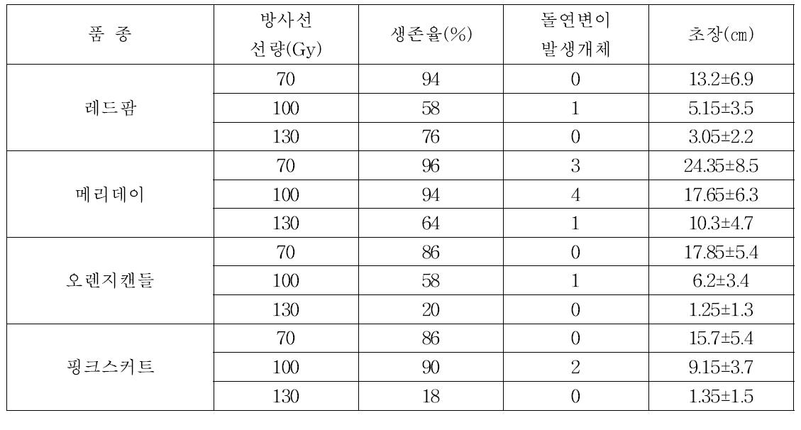 2013년 방사선처리 후 생존율(%), 돌연변이 발생개체수와 초장(㎝)