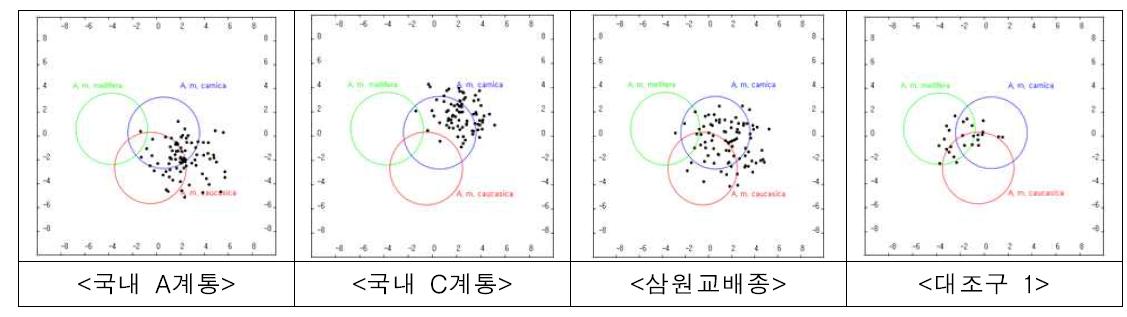 삼원교배종과 양친계통 및 일반 사육계통(대조구 1)의 시맥형질 분포도