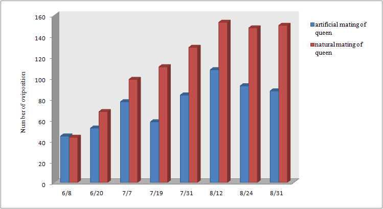 인공수정 및 자연교미 여왕벌의 유효 산란수 추이