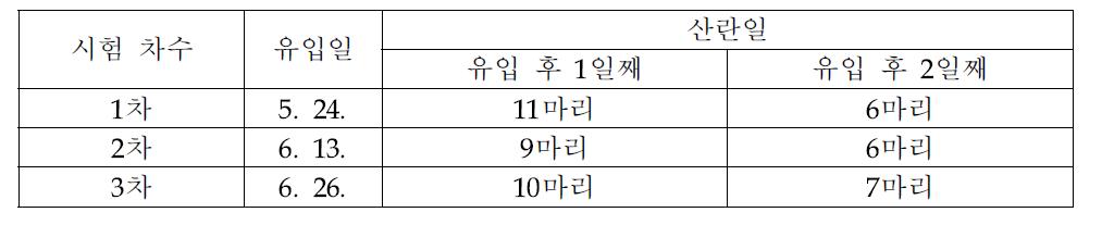 여왕벌 유입 후 산란일