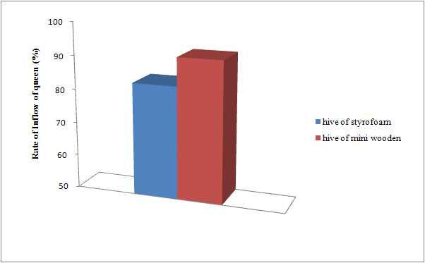 스티로폼 벌통과 미니나무 벌통의 여왕벌 유입률 비교