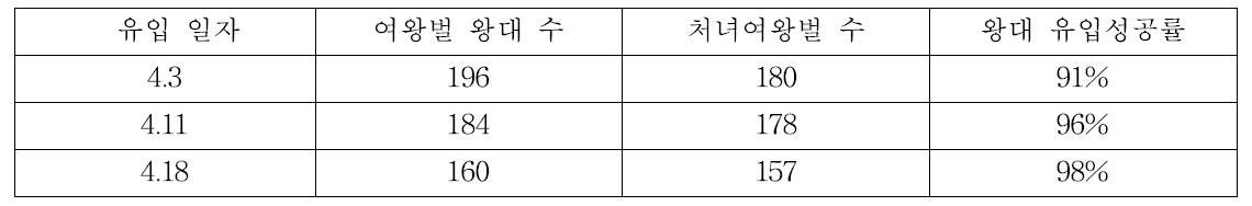 도서지역에서 여왕벌 왕대로부터 정상적으로 출방한 왕대 유입성공률 비교