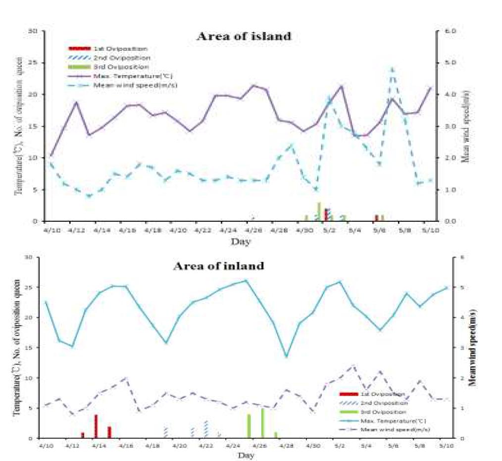 섬과 내륙에서 2014년 4월 10일부터 5월 10일까지 최고온도와 평균 풍속의 변화에 따른 반복 횟수별 여왕벌 산란일자와 수