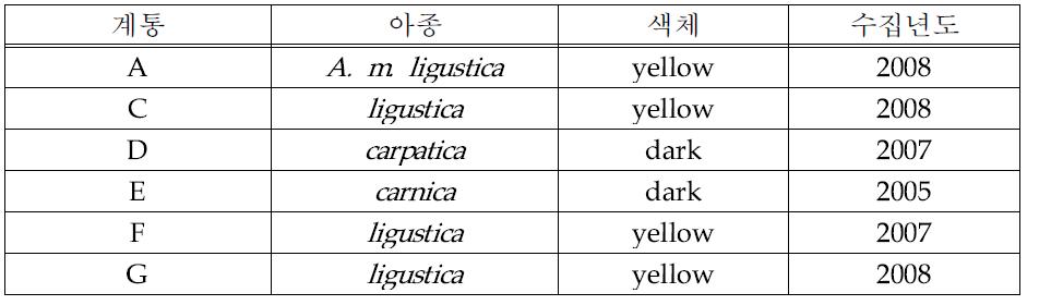 국내 서양종 꿀벌(Apis mellifera L.) 수집 유전자원 계통 목록