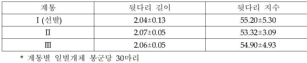 꿀벌 계통간 뒷다리 형질 비교