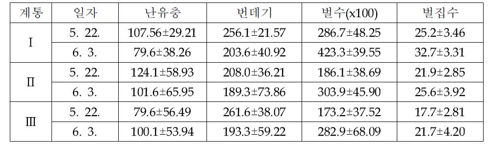 꿀벌 계통간 봉군발육 비교