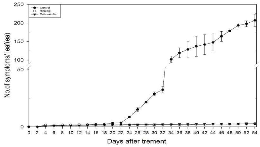 Symptoms of white rust by humidity control program in standard chrysanthemum ‘Baekma’.