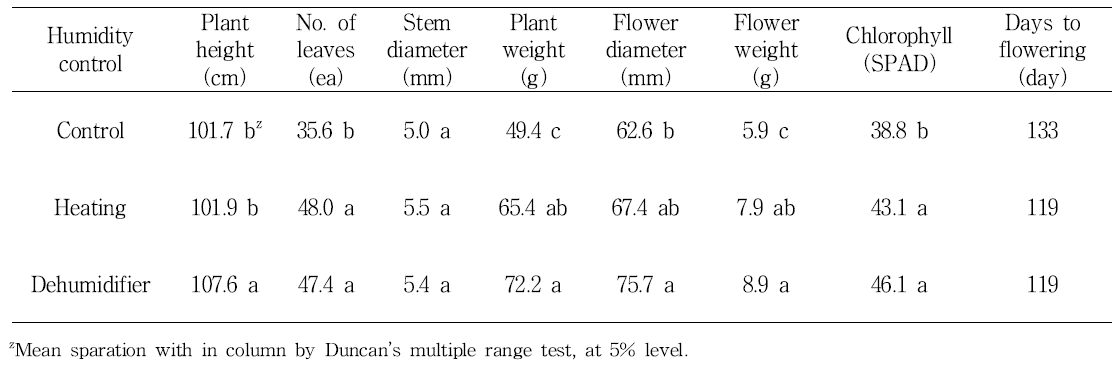 The cut flower growth by humidity control program in greenhouse culture of standard chrysanthemum ‘Baekma’.