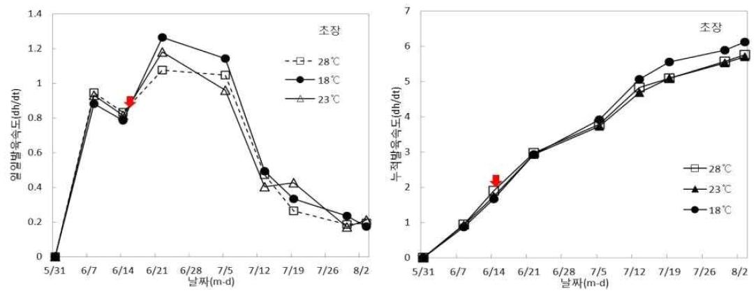 온도처리에 따른 초장의 일일발육속도(좌) 및 누적발육속도(우).(화살표 : 단일처리 시작일)