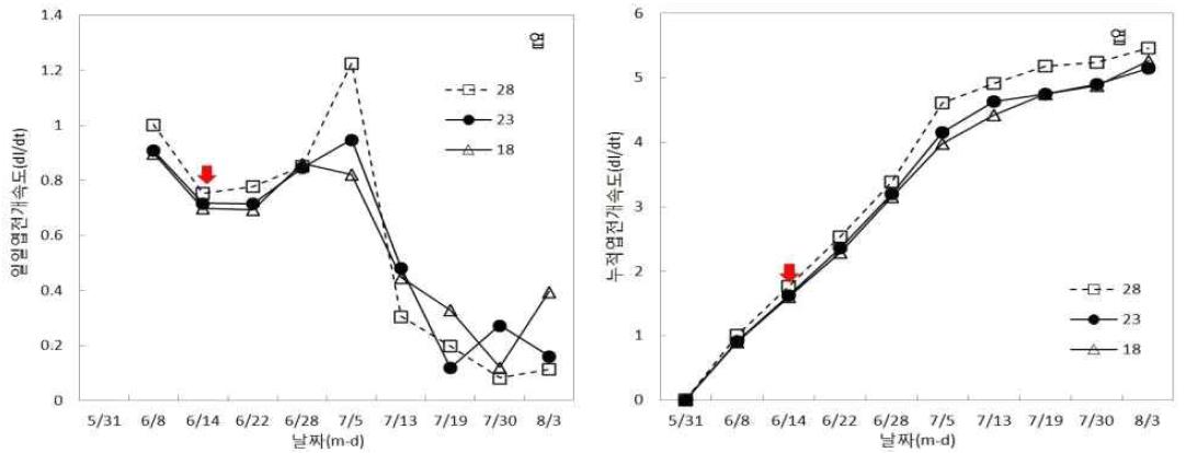 온도처리에 따른 일일엽전개속도(좌) 및 누적엽전개속도(우).(화살표 : 단일처리 시작일)