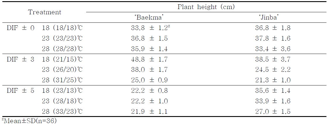 Plant height affected by temperature and DIF treatment in chrysanthemum cv.