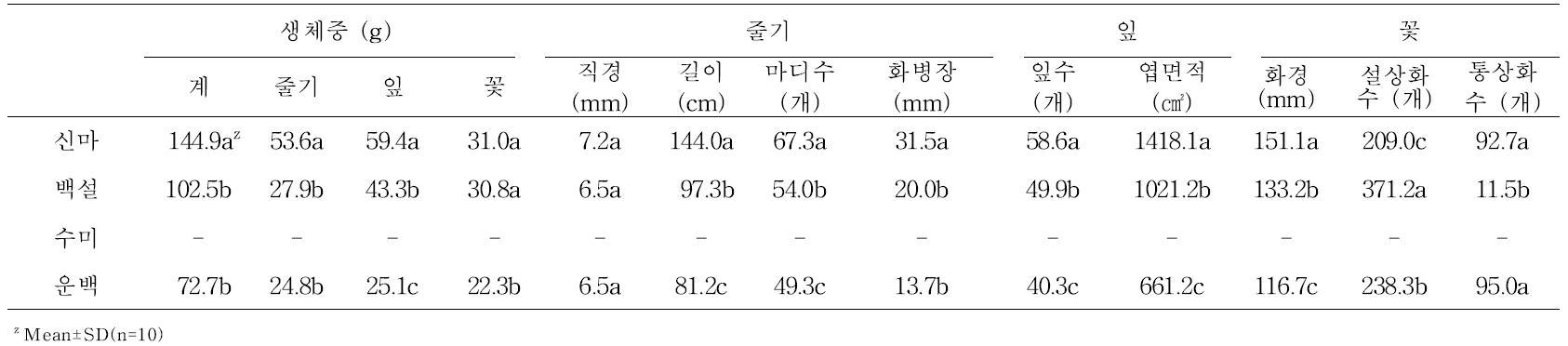 야간 난방설정온도 17℃ 시의 국화 품종별 만개 절화의 특성