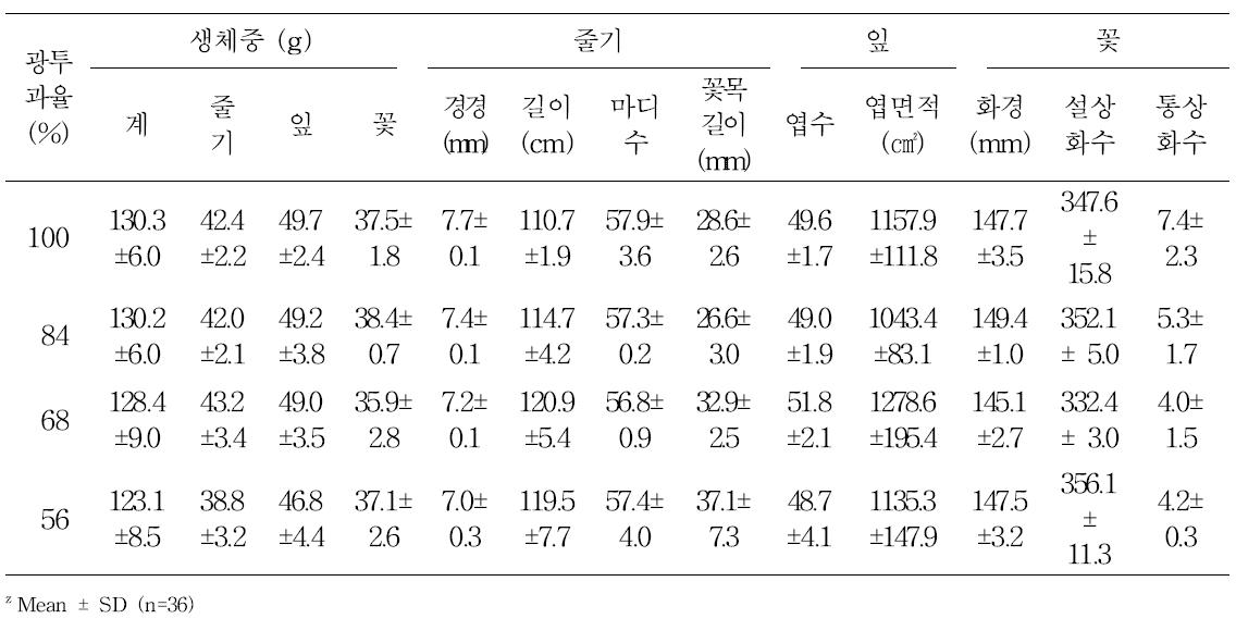 광투과율에 따른 ‘백설’ 국화의 절화 특성