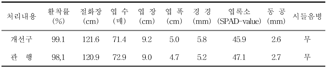 종합 개발기술 국화 백마 품종의 생육특성