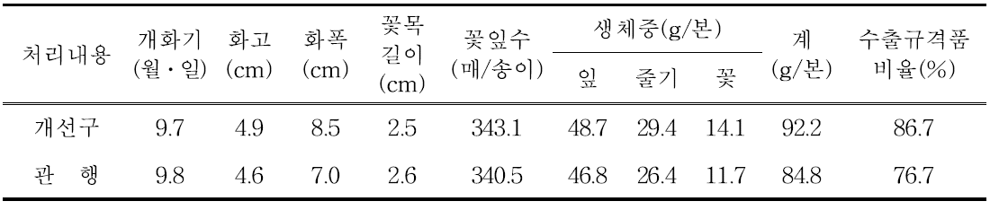 종합 개발기술 국화 백마 품종의 개화특성