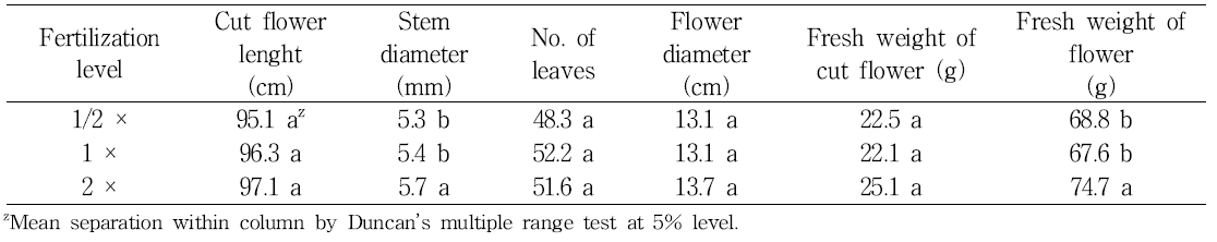 Cut flower growth by fertilization level in standard chrysanthemum ‘Baekma’.