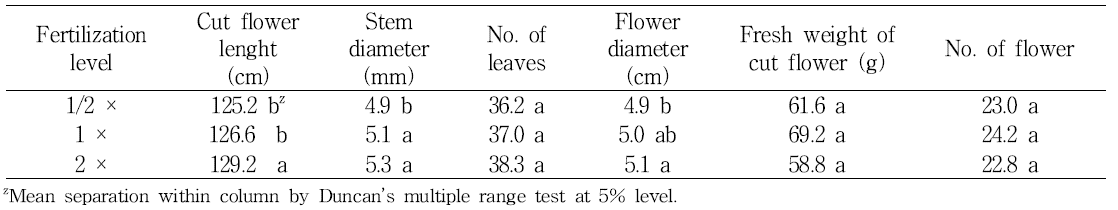 Cut flower growth by fertilization level in spray chrysanthemum ‘Orange ND’.