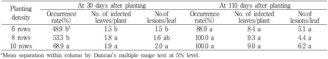 Incidence of white rust by planting density at 30 days and 110 days after planting in standardchrysanthemum ‘Baekma’.