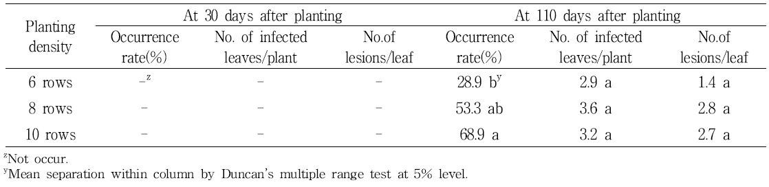 Incidence of white rust by planting density at 30 days and 110 days after planting in spraychrysanthemum ‘Orange ND’.