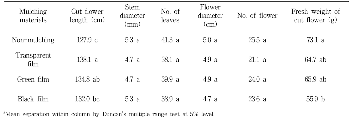 Cut flower growth by mulching materials in spray chrysanthemum ‘Orange ND’.