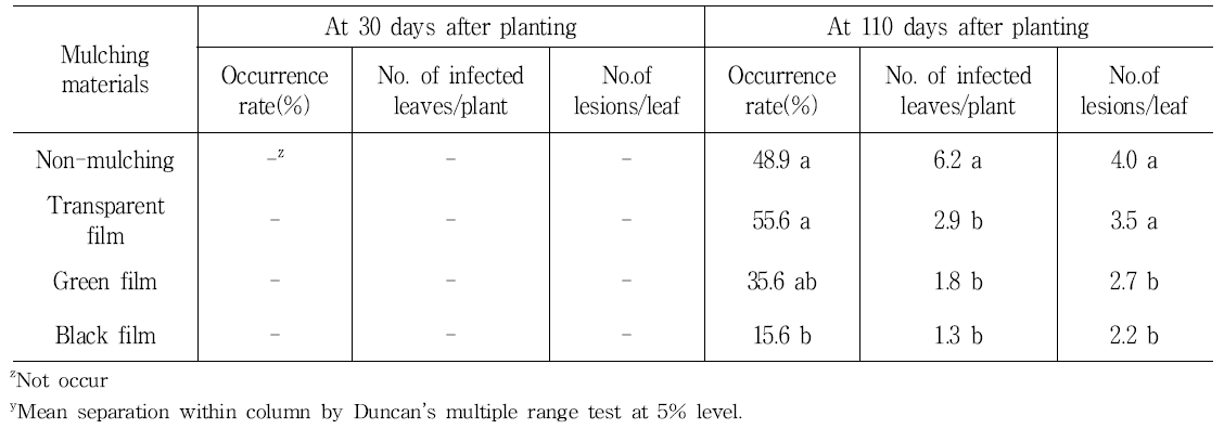 Incidence of white rust by mulching materials at 30 days and 110 days after planting in spray chrysanthemum ‘Orange ND’.