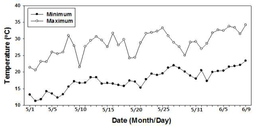 Maximum and minimum temperature in greenhouse from 1 May to 9 June.