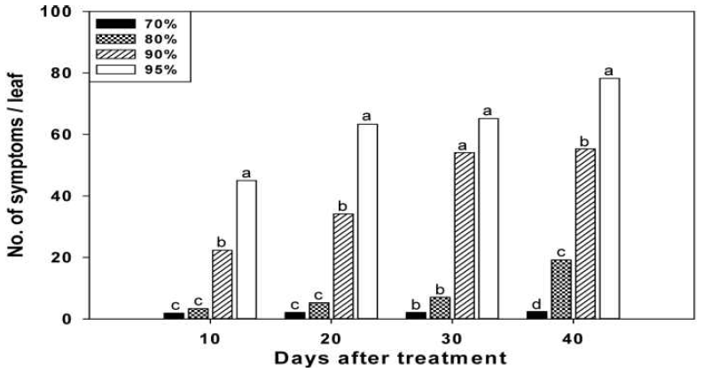 Number of white rust symptoms in different relative humidity conditions (70, 80, 90, and 95%) in the greenhouse growing standard chrysanthemum ‘Baekma’.