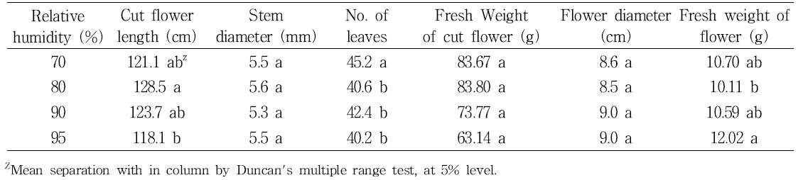 Effect of different relative humidity conditions (70, 80, 90, and 95%) in the greenhouse on cut flower growth of standard chrysanthemum ‘Baekma’.