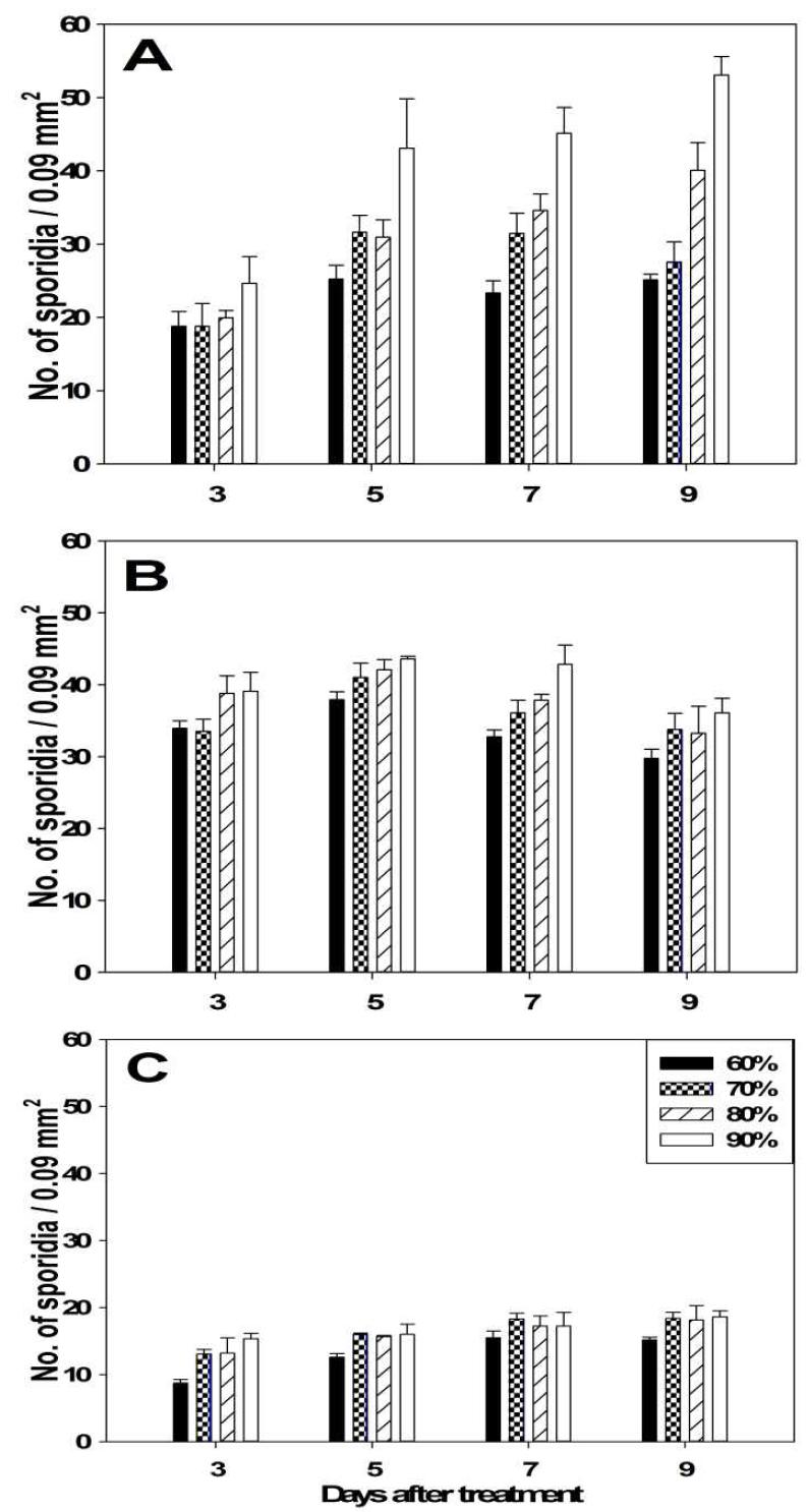 No. of sporidia on leaf of white rust by temperature and relative humidity in greenhouse in standard chrysanthemum ‘Baekma’.