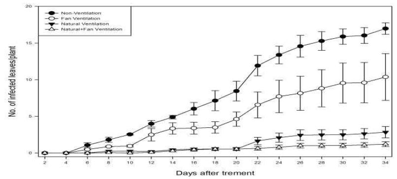 Number of infected leaves of white rust according to humidity control by various ventilation treatment in greenhouse in standard chrysanthemum ‘Baekma’.