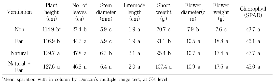 Effect of humidity control by various ventilation treatment in greenhouse on cut flower growth in standard chrysanthemum ‘Baekma’.