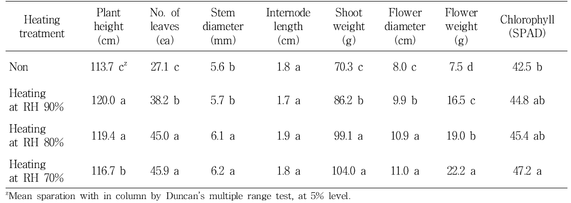 Effect of humidity control by heating in greenhouse on cut flower growth in standard chrysanthemum ‘Baekma’.