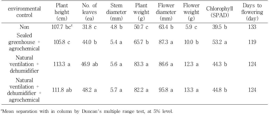 Growth of cut flower by environmental control and agrochemical methods in greenhouse of standard chrysanthemum ‘Baekma’.