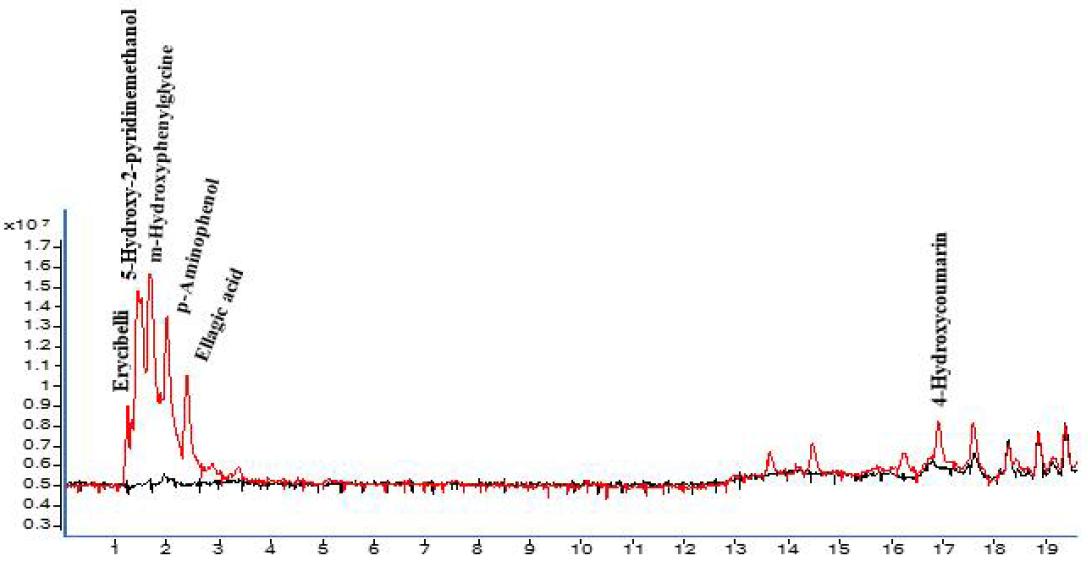 활성 fraction의 HPLC 결과