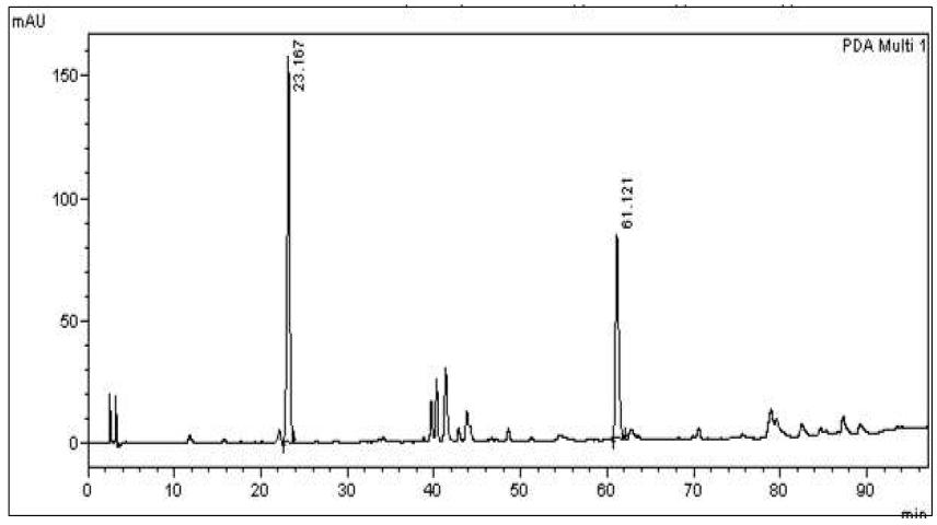 한국 감초 에틸 아세테이트 분획의 HPLC 크로마토그램 (파장 = 254nm)