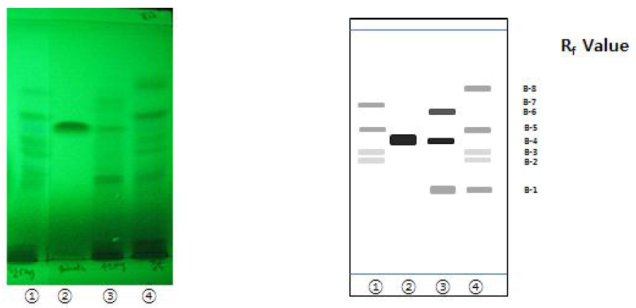 원산지별 (한국, 중국, 우즈베키스탄) 감초 에틸 아세테이트 분획과 표준물질(glabridin)의 TLC 크로마토그램.