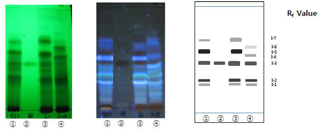 원산지별 (한국, 중국, 우즈베키스탄) 감초의 아글리콘 분획과 표준물질(isoliquiritigenin)의 TLC 크로마토그램.