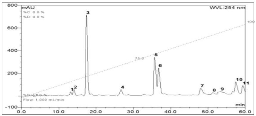 중국 감초 아글리콘 분획의 HPLC 크로마토그램 (파장 = 254nm)